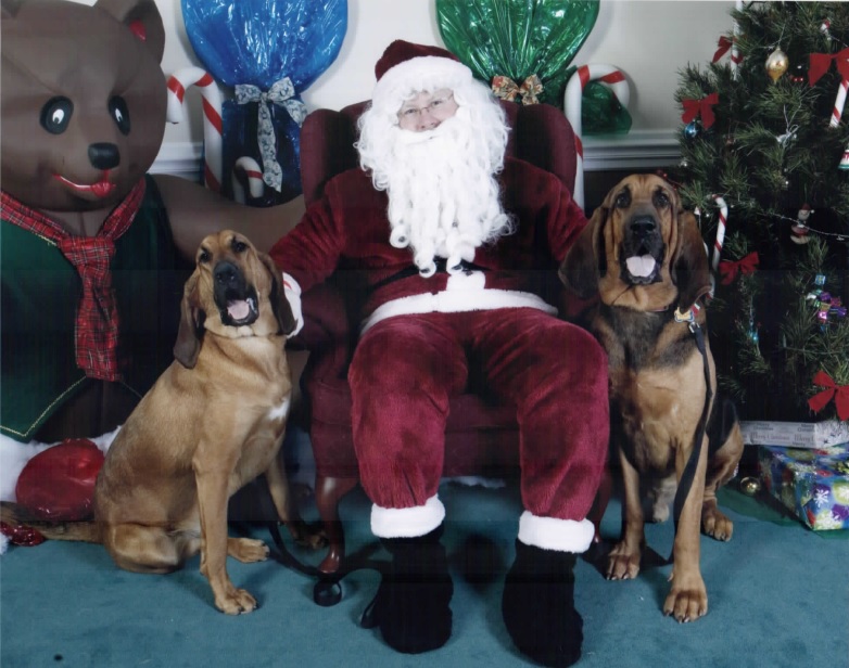 Dogs visit Santa Clause