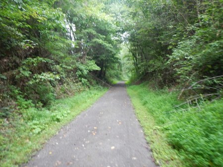 New River State Park Trail