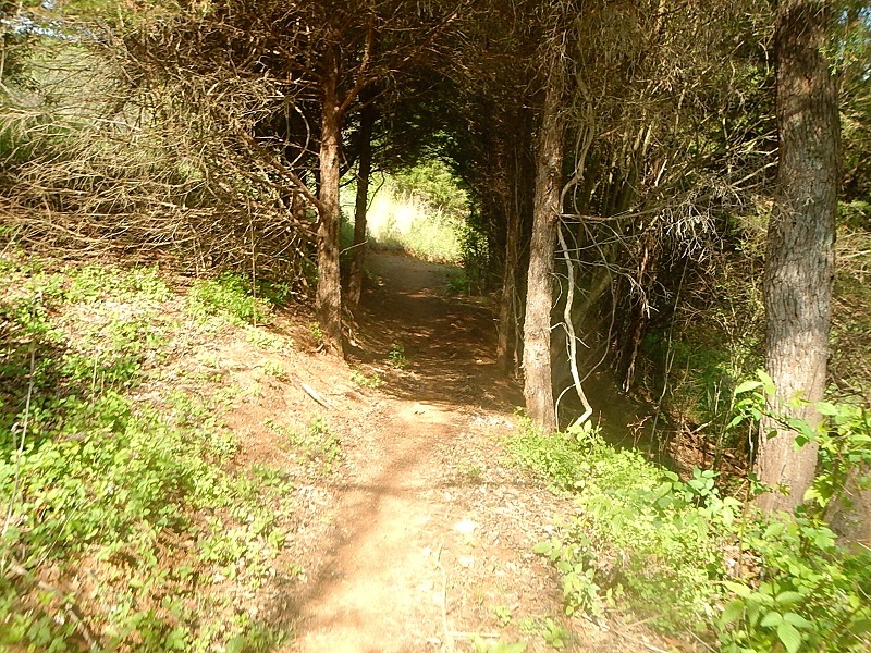 Trail Nut 10K Falling Creek Park Bedford