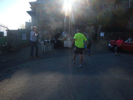 2015 Blue Ridge Half Marathon