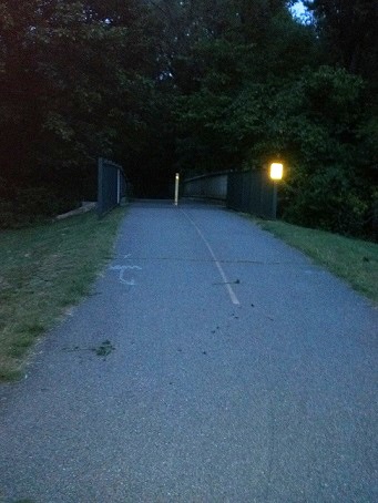 Bisset Park Radford