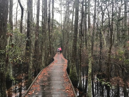 Seashore Nature Trail 50K Seashore 50K