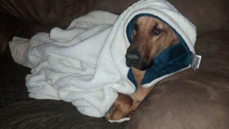 IMG_20140119_154358_006