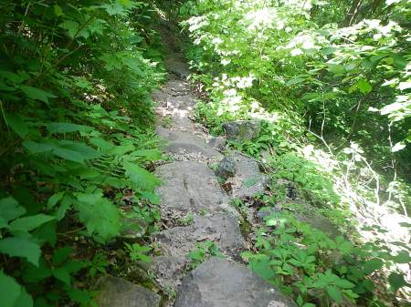 Appalachian Trail Angels Rest 