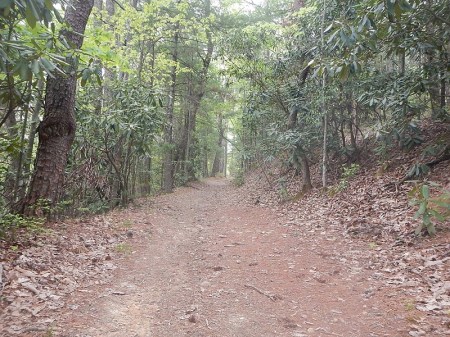 Horse Nettle Trail Pandapas Pond Poverty Creek Trail System