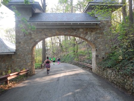 2015 Blue Ridge Half Marathon