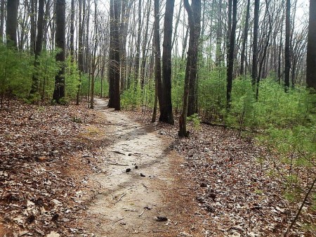 Claytor Lake State Park Trail Run