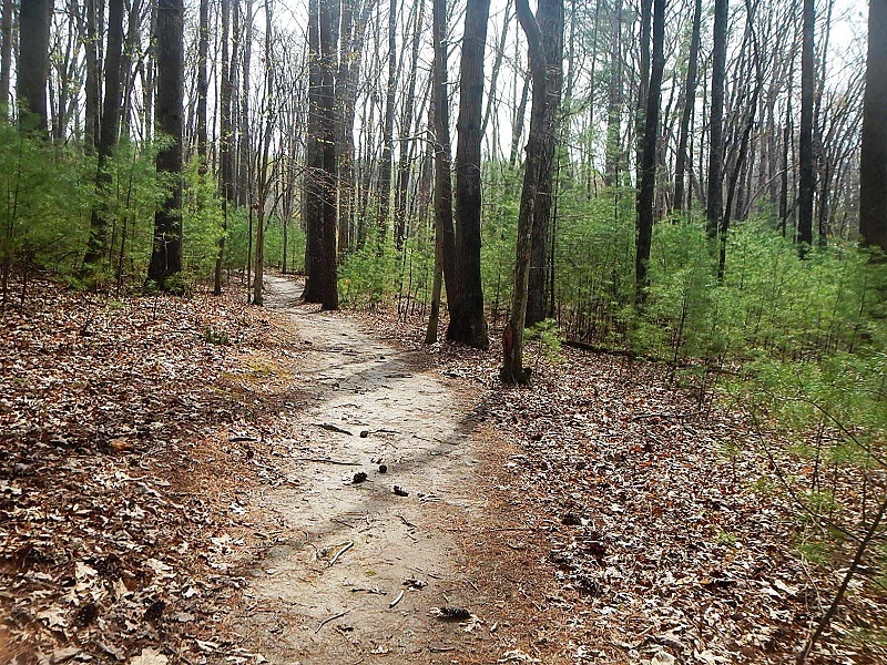 Claytor Lake State Park Trail Run