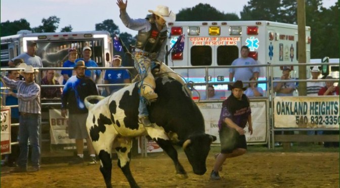 Bull Riding