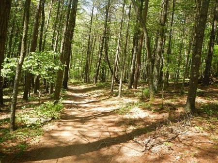 Poverty Creek Trail Pandapas Pond