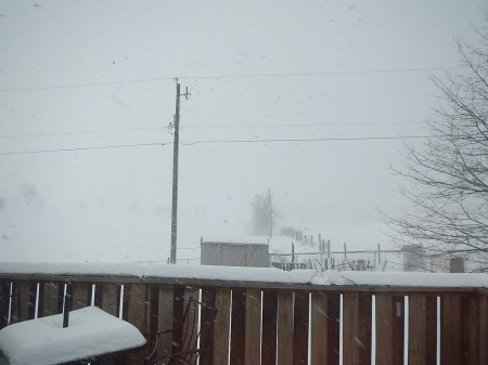 blizzard snow storm