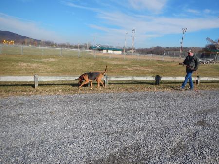 bloodhound tracking
