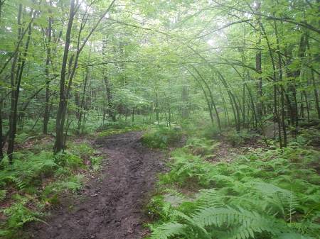 Ragnar Trail Appalachians Ragnar Relay Trails WV