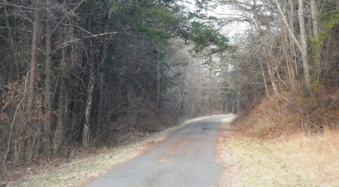 Weekly Workout Roundup – Mar. 17 – 23