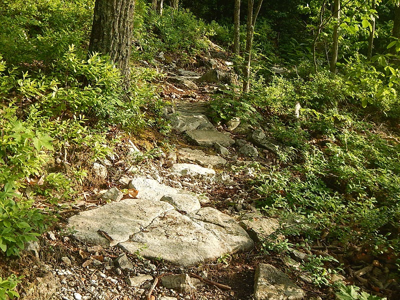 Draper Mountain Bike Trails