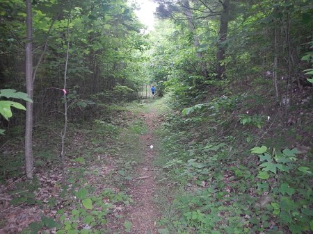 Draper Mountain Bike Trails