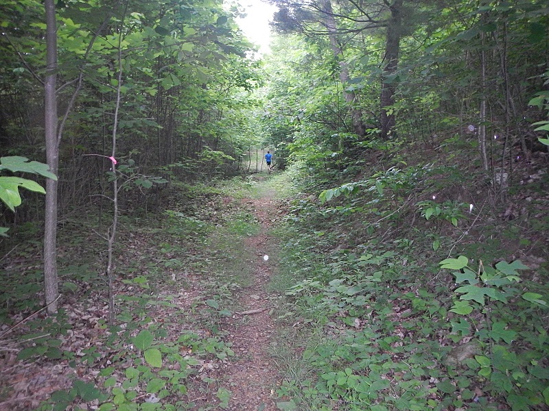 Draper Mountain Bike Trails