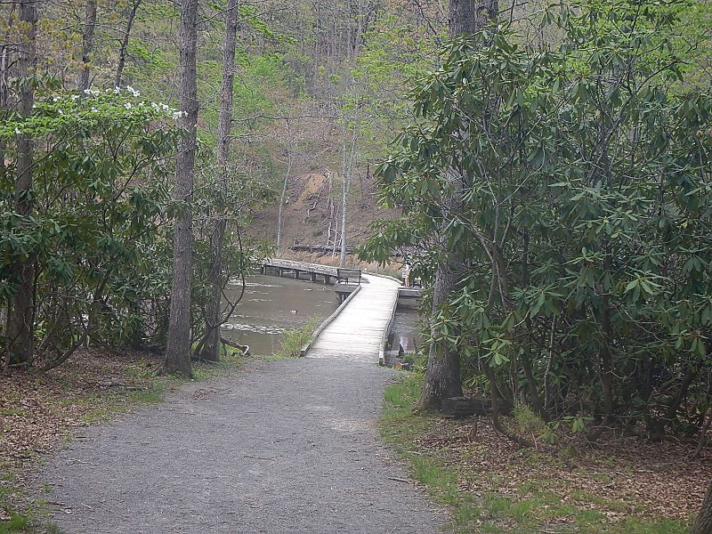 Pandapas Pond