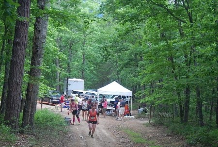 Conquer the Cove 25K