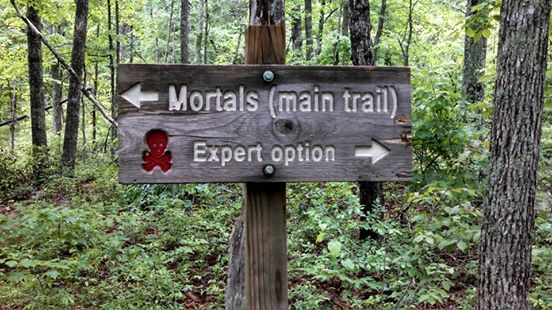 Conquer the Cove trail race