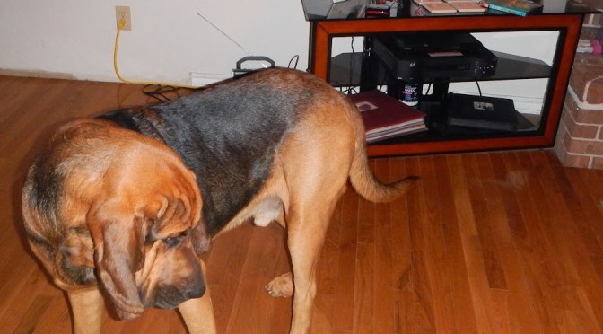 Weekly Workout Rundown – Nov. 25 – Dec. 1