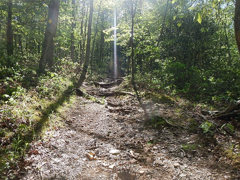 Jacobs Ladder Trail Poverty Creek Trail System Pandapas Pond