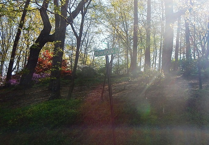 Blue Ridge Half Marathon Peakwood