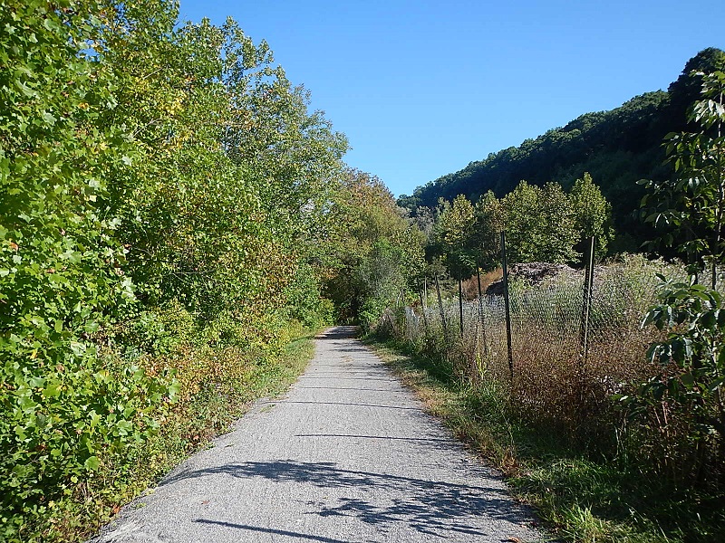 Dora Trail