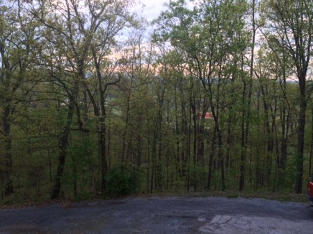 Pretty view from the porch.