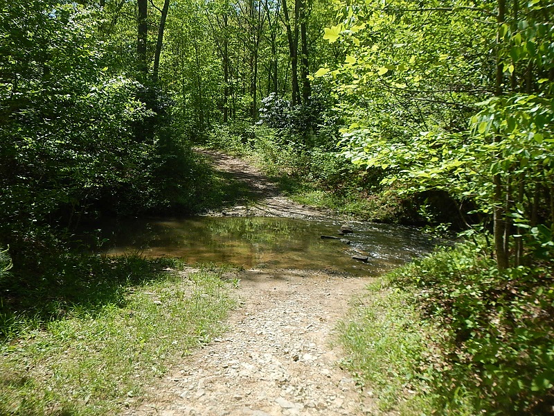 Snake Root Trail creek crossing Poverty Creek Trail System Pandapas Pond