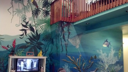 IMG_20150220_225111_776