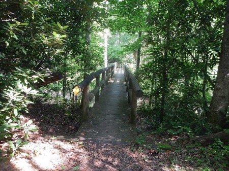 Jefferson National Forest Wolf Creek Day Use Area