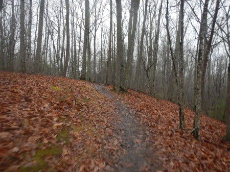 Pandapas Pond Poverty Creek Trail System Jefferson National Forest