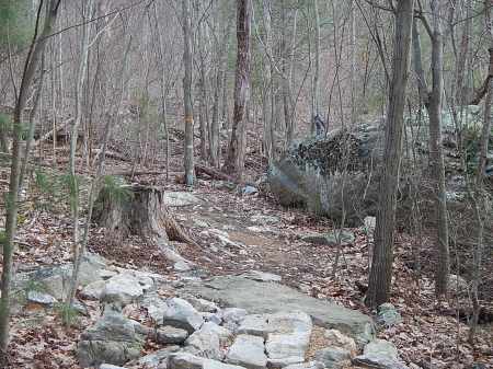 Trail Running Draper Mountain Bike Trails