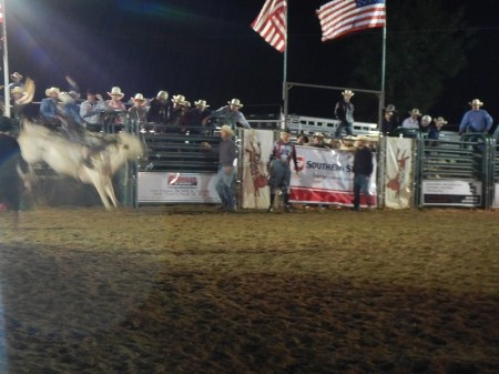 Rodeo