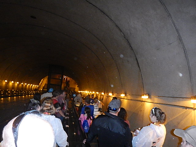 2014 Marine Corps Marathon
