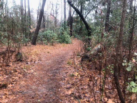 Seashore Nature Trail 50K Seashore 50K