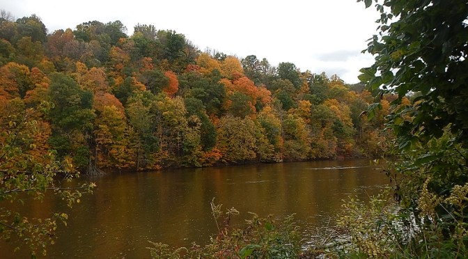 Marine Corps Marathon Training – Week 17