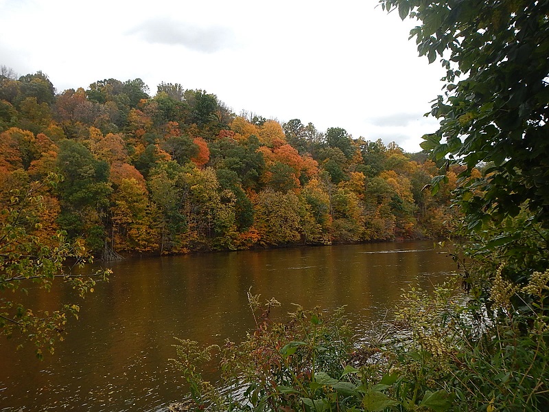 Bisset Park Radford