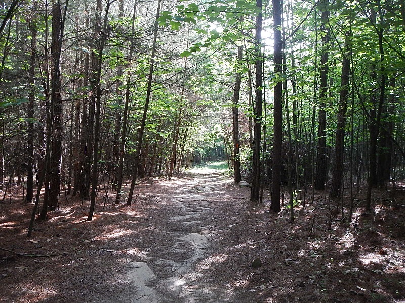 Claytor Lake State Park