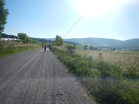 Varmint 1/2 Marahton