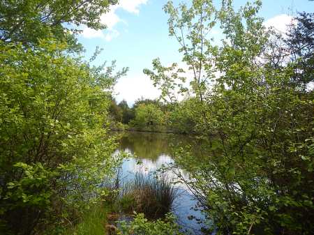 Trail Nut Half Marathon Mountain Junkies RNUTS