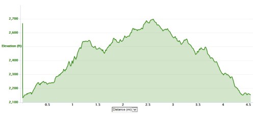 trail run elevation