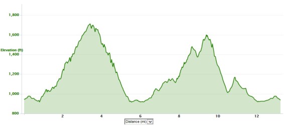 Blue Ridge elevation 2015