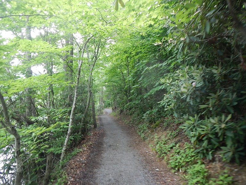 Hungry Mother State Park Trails