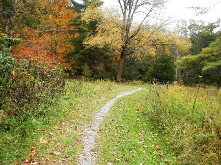 Hungry Mother State Park Lake Loop Trail