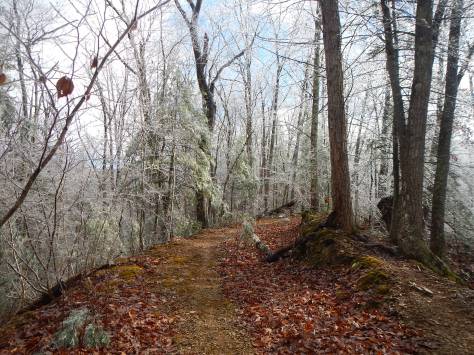 mountain trail running