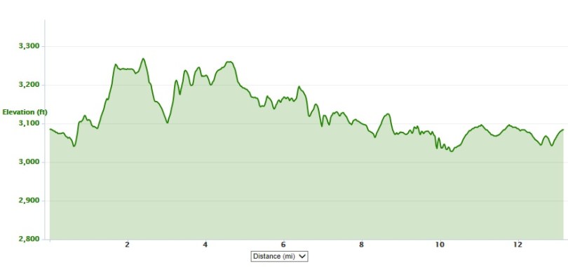 Varmint 1/2 Marathon elevation