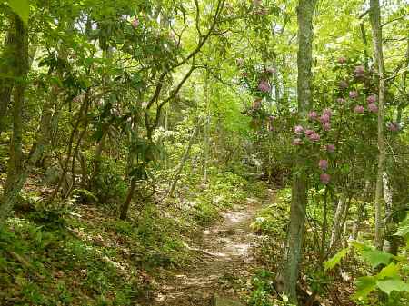 Appalachian Trail Angels Rest