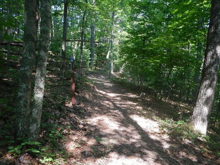 Jefferson National Forest Wolf Creek Day Use Area